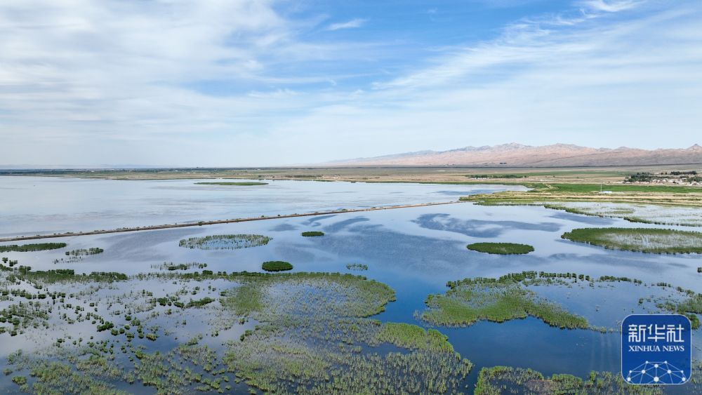 
北京积水潭医院黄牛代挂号电话票贩子号贩子网上预约挂号,住院检查加快,夏日乌梁素海