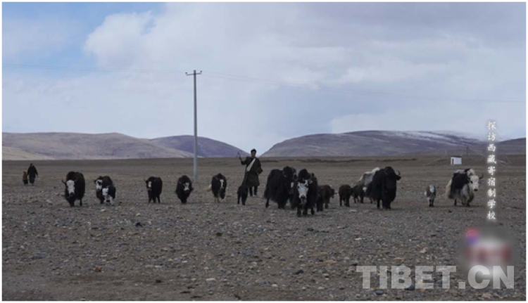 
首都医科大学附属儿童医院黄牛代挂号电话票贩子号贩子网上预约挂号,住院检查加快,“强制同化100万西藏儿童”？外籍特约观察员独家探访西藏寄宿制学校