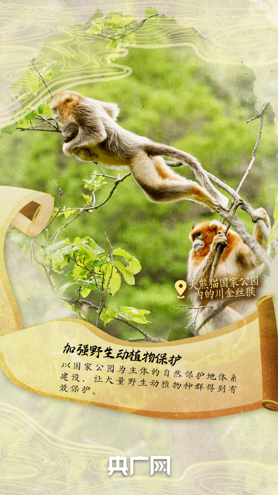 
北京大学第六医院黄牛代挂号电话票贩子号贩子网上预约挂号,住院检查加快,世界环境日｜共赴青绿 现实版“千里江山图”来了！