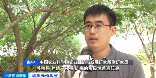 
首都医科大学附属北京朝阳医院黄牛代挂号电话票贩子号贩子网上预约挂号,住院检查加快,鸡蛋便宜了！未来价格怎么走？