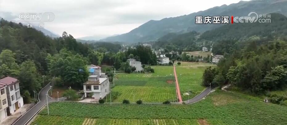 
北京朝阳医院黄牛代挂号电话票贩子号贩子网上预约挂号,住院检查加快,空中俯瞰稻田色彩斑斓 见证壮美好“丰”景