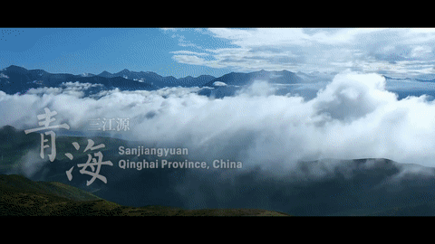 
江苏省中医院黄牛代挂号电话票贩子号贩子网上预约挂号,住院检查加快,三江之源的生态变迁