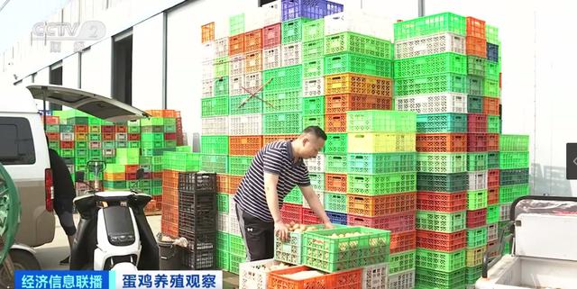 
首都医科大学附属北京朝阳医院黄牛代挂号电话票贩子号贩子网上预约挂号,住院检查加快,鸡蛋便宜了！未来价格怎么走？