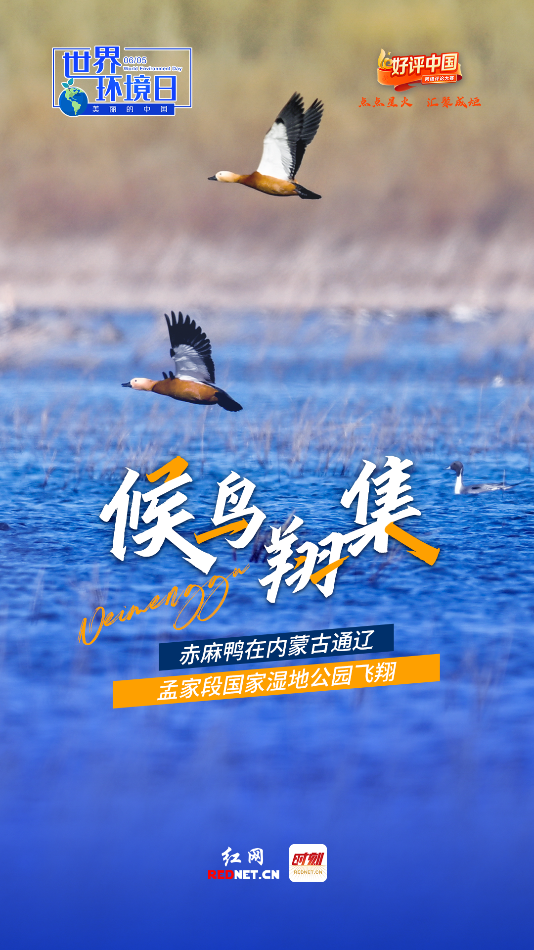 广东省人民医院黄牛代挂号电话票贩子号贩子网上预约挂号,住院检查加快,好评中国·海报丨世界环境日,一个美丽中国的底气