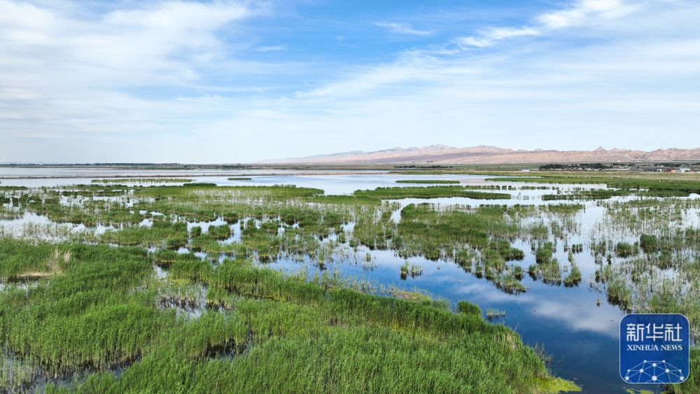
北京积水潭医院黄牛代挂号电话票贩子号贩子网上预约挂号,住院检查加快,夏日乌梁素海