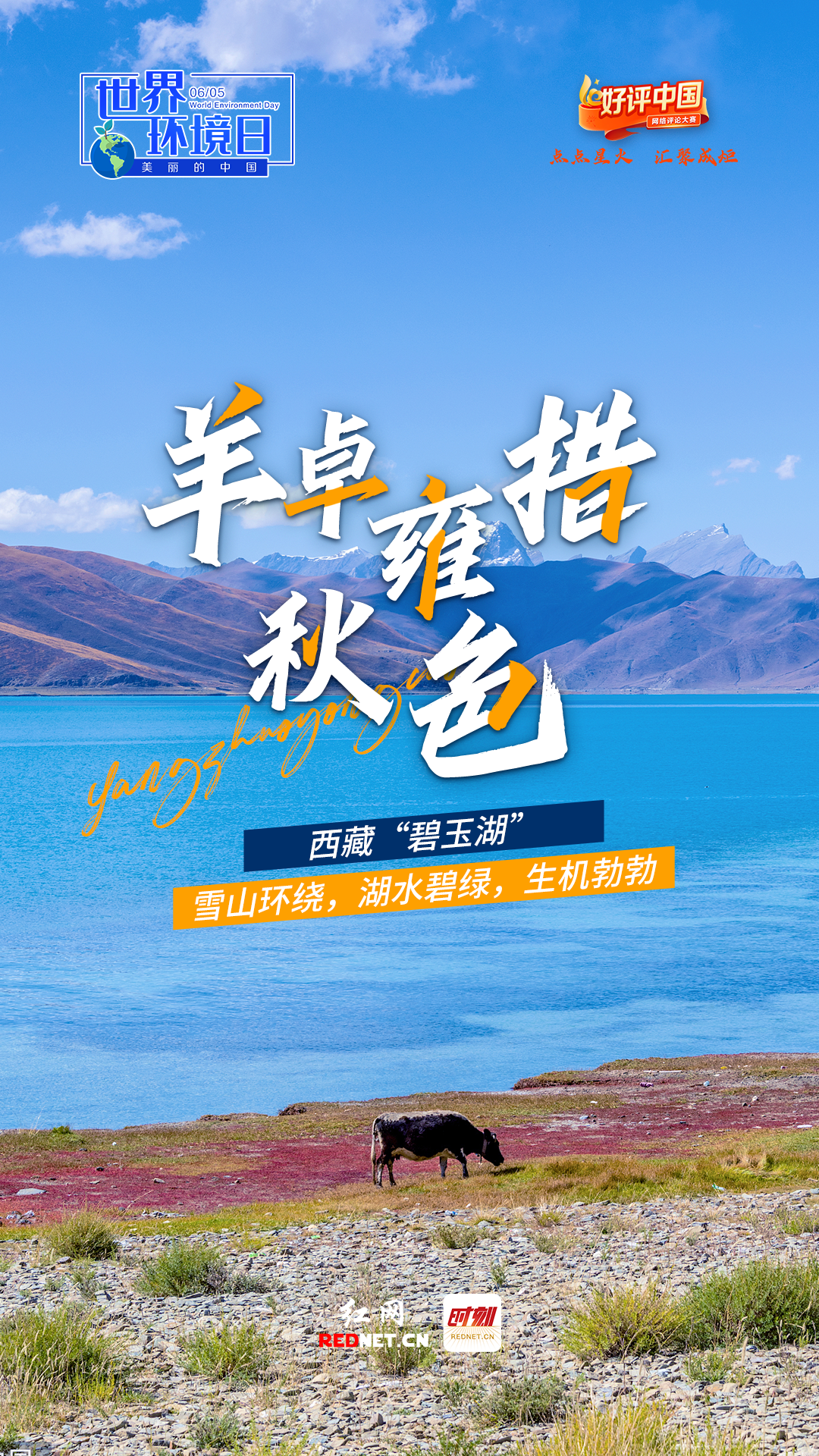 广东省人民医院黄牛代挂号电话票贩子号贩子网上预约挂号,住院检查加快,好评中国·海报丨世界环境日,一个美丽中国的底气