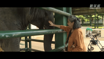 
北京安定医院黄牛代挂号电话票贩子号贩子网上预约挂号,住院检查加快,公益微纪录片｜众生的地球