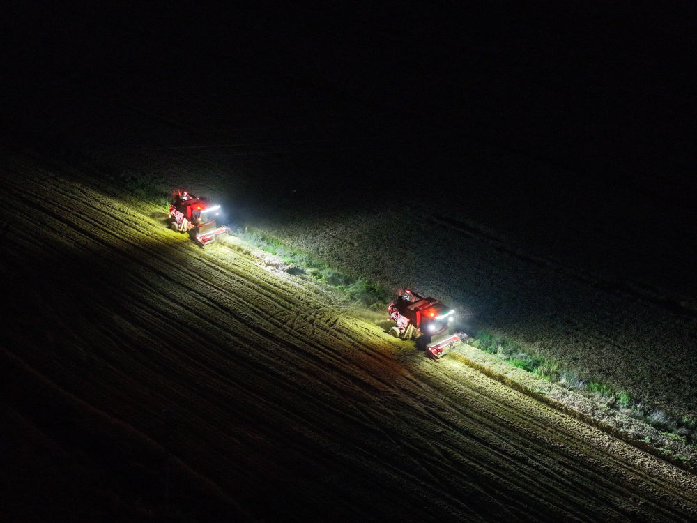 
中国中医科学院广安门医院黄牛代挂号电话票贩子号贩子网上预约挂号,住院检查加快,趁晴割麦收云黄