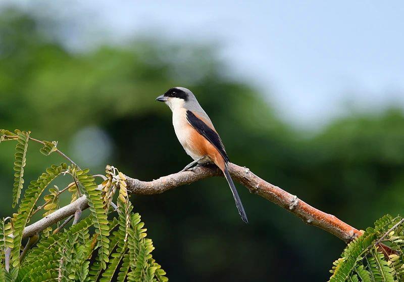 
北大第一医院黄牛代挂号电话票贩子号贩子网上预约挂号,住院检查加快,芒种丨“芒”有所获，“种”有所得