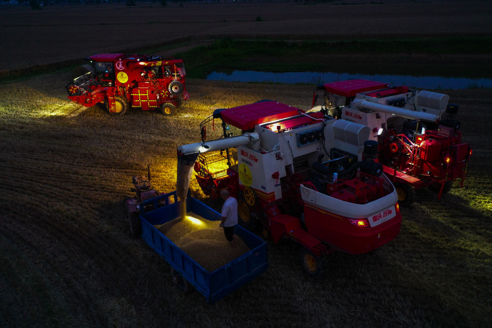 
中国中医科学院广安门医院黄牛代挂号电话票贩子号贩子网上预约挂号,住院检查加快,趁晴割麦收云黄