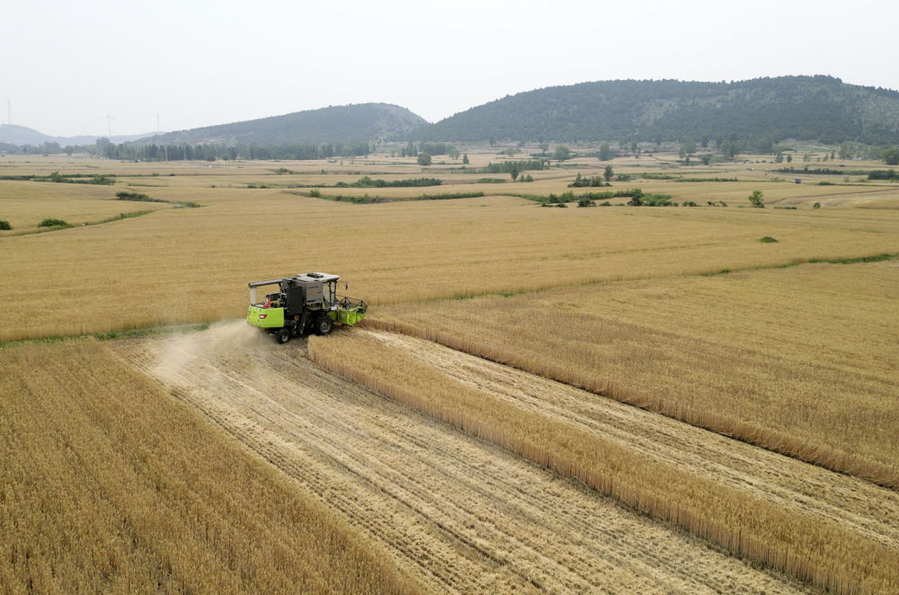 
中国中医科学院广安门医院黄牛代挂号电话票贩子号贩子网上预约挂号,住院检查加快,趁晴割麦收云黄