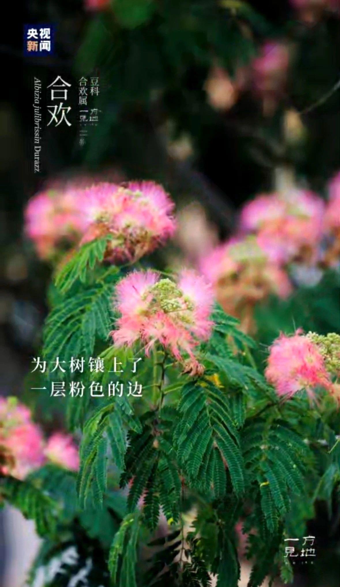 
北大第一医院黄牛代挂号电话票贩子号贩子网上预约挂号,住院检查加快,芒种丨“芒”有所获，“种”有所得