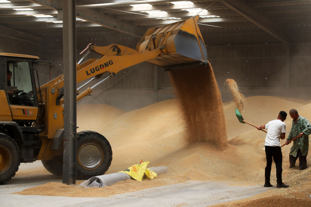 
中国中医科学院广安门医院黄牛代挂号电话票贩子号贩子网上预约挂号,住院检查加快,趁晴割麦收云黄