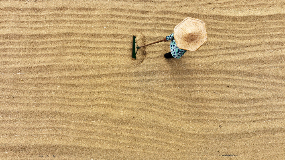 
中国中医科学院广安门医院黄牛代挂号电话票贩子号贩子网上预约挂号,住院检查加快,趁晴割麦收云黄