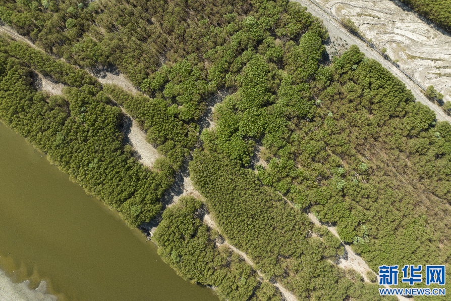 
上海中山医院黄牛代挂号电话票贩子号贩子网上预约挂号,住院检查加快,世界环境日 | 西藏：绿染雅江满目景