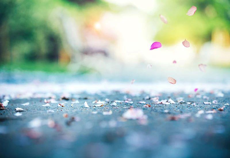 
北大第一医院黄牛代挂号电话票贩子号贩子网上预约挂号,住院检查加快,芒种丨“芒”有所获，“种”有所得