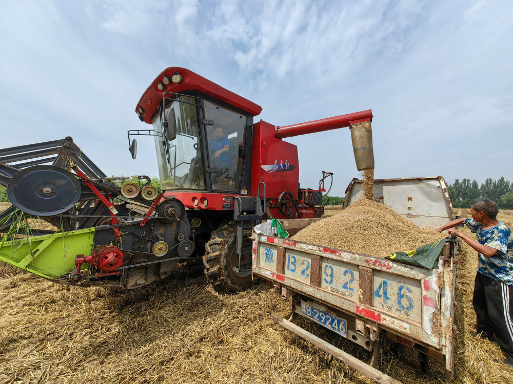 
中国中医科学院广安门医院黄牛代挂号电话票贩子号贩子网上预约挂号,住院检查加快,趁晴割麦收云黄