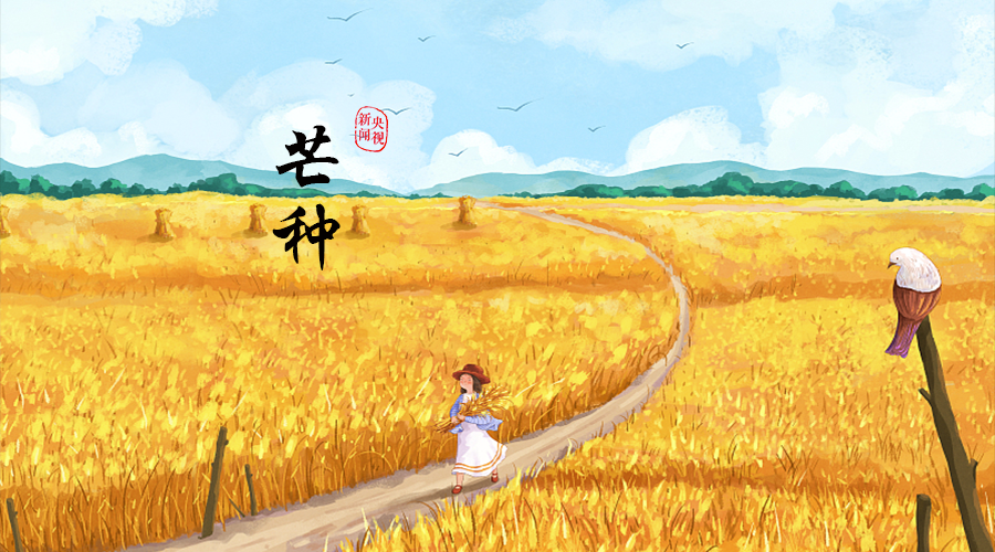 北大第一医院黄牛代挂号电话票贩子号贩子网上预约挂号,住院检查加快,芒种丨“芒”有所获,“种”有所得