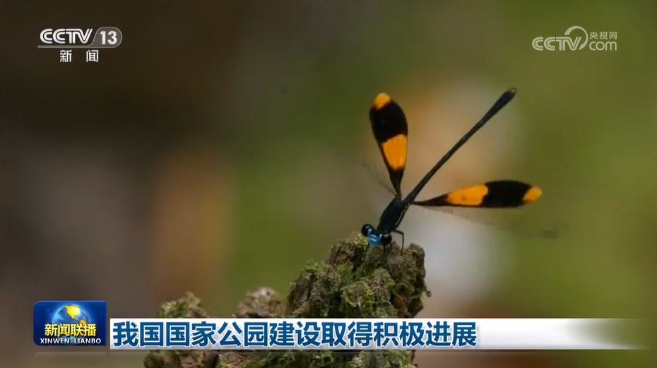 杭州市妇幼保健院黄牛代挂号电话票贩子号贩子网上预约挂号,住院检查加快,我国国家公园建设取得积极进展