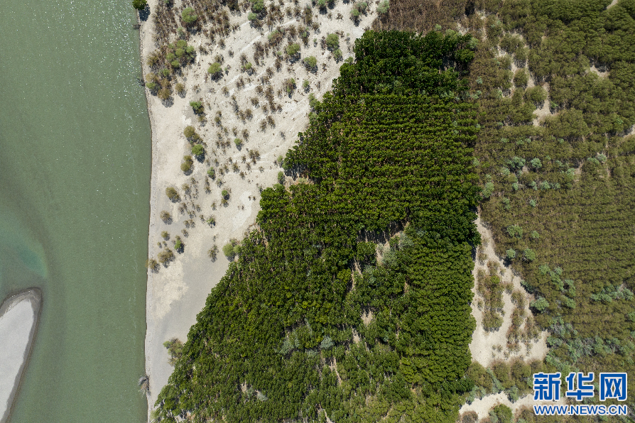 
上海中山医院黄牛代挂号电话票贩子号贩子网上预约挂号,住院检查加快,世界环境日 | 西藏：绿染雅江满目景