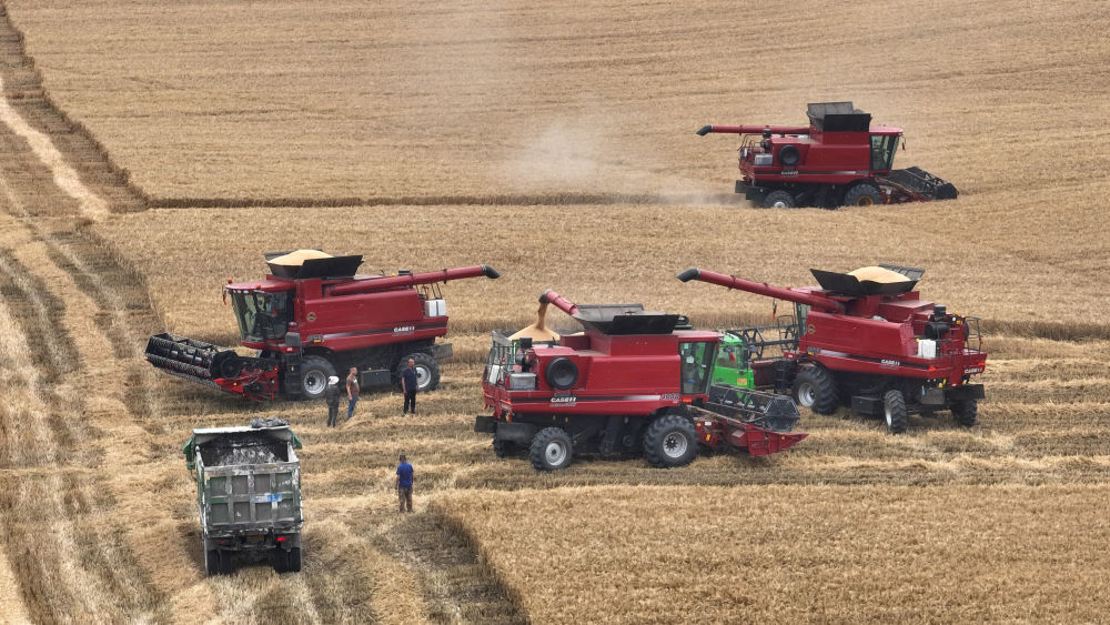 
中国中医科学院广安门医院黄牛代挂号电话票贩子号贩子网上预约挂号,住院检查加快,趁晴割麦收云黄
