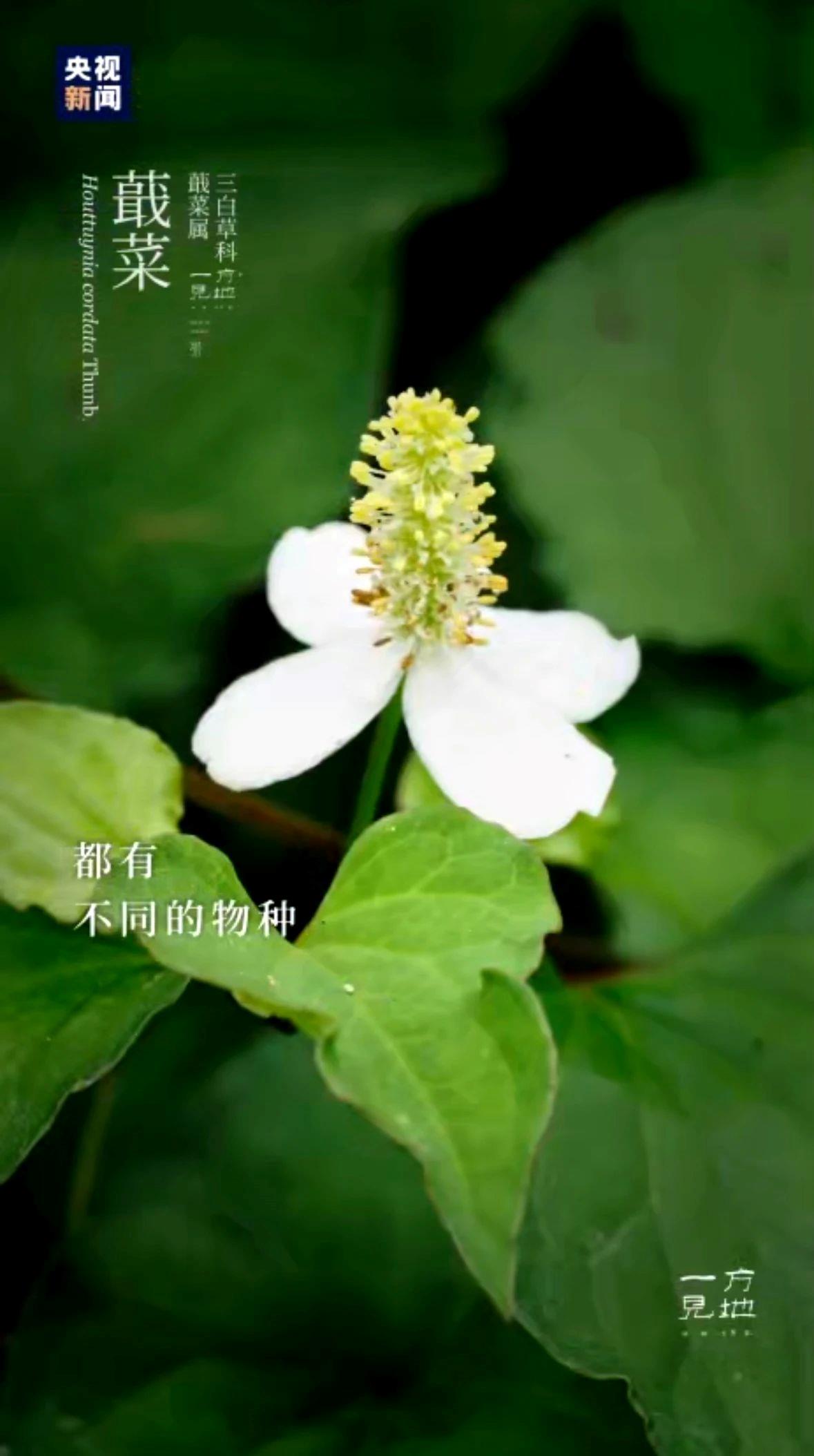 
北大第一医院黄牛代挂号电话票贩子号贩子网上预约挂号,住院检查加快,芒种丨“芒”有所获，“种”有所得