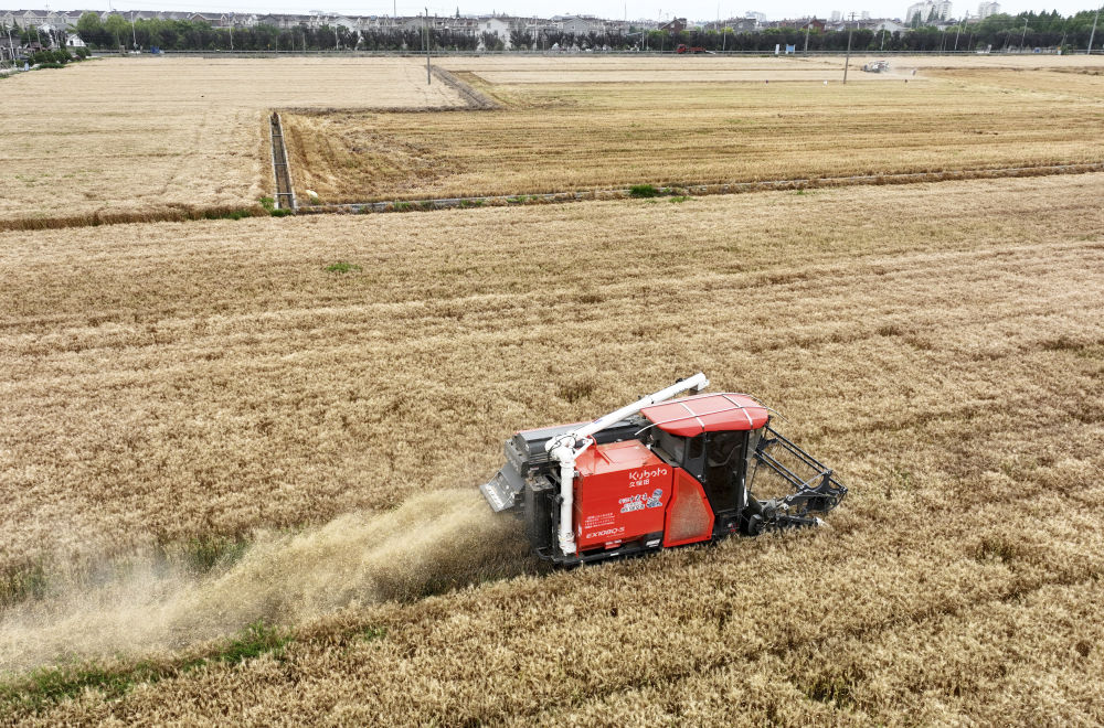 
中国中医科学院广安门医院黄牛代挂号电话票贩子号贩子网上预约挂号,住院检查加快,趁晴割麦收云黄