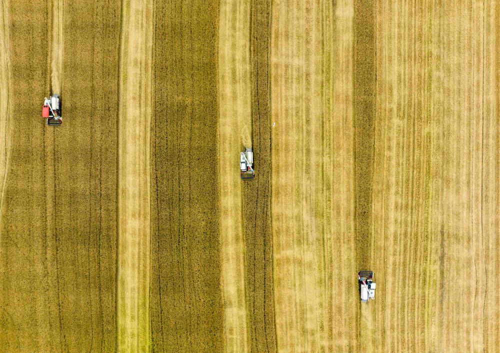 
中国中医科学院广安门医院黄牛代挂号电话票贩子号贩子网上预约挂号,住院检查加快,趁晴割麦收云黄