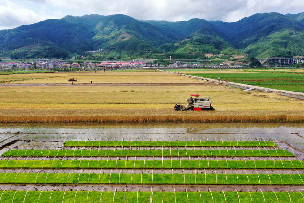 
中国中医科学院广安门医院黄牛代挂号电话票贩子号贩子网上预约挂号,住院检查加快,趁晴割麦收云黄