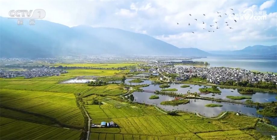 
广州市第一人民医院黄牛代挂号电话票贩子号贩子网上预约挂号,住院检查加快,我国生态环境保护制度得到系统性完善 老百姓幸福感和获得感满满