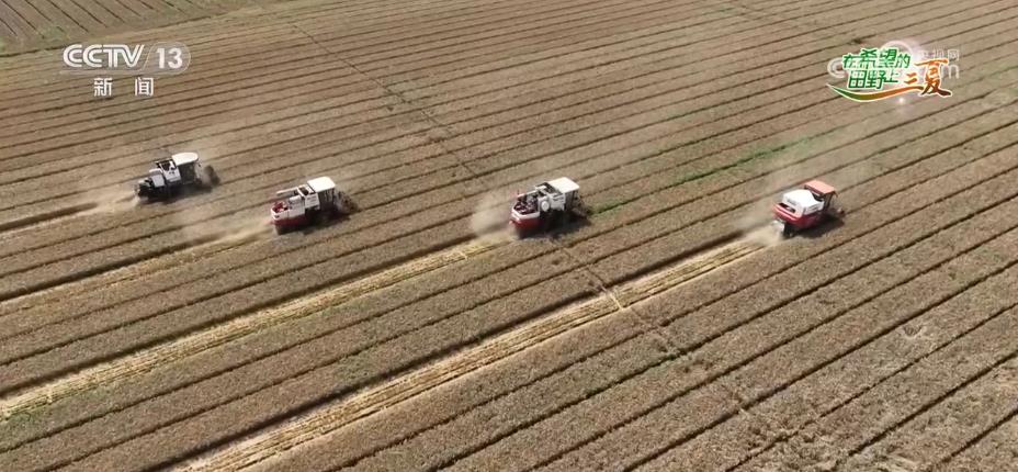 
浙江省肿瘤医院黄牛代挂号电话票贩子号贩子网上预约挂号,住院检查加快,河南各地加强服务保障 确保收割机顺利跨区作业