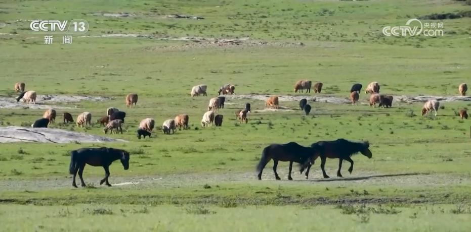 
二龙路肛肠医院黄牛代挂号电话票贩子号贩子网上预约挂号,住院检查加快,昔日“光脚走”转场模式变为机械化牛羊转场 牧民更轻松