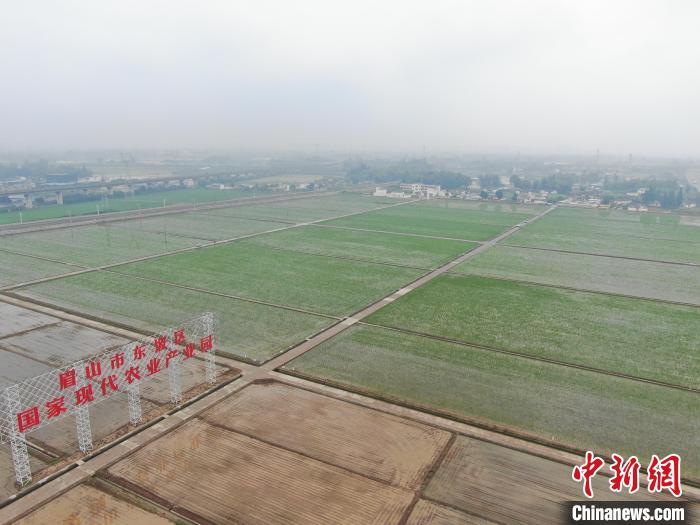 
杭州市七医院黄牛代挂号电话票贩子号贩子网上预约挂号,住院检查加快,四川：因地制宜书写“土地文章” 打造新时代更高水平“天府粮仓”