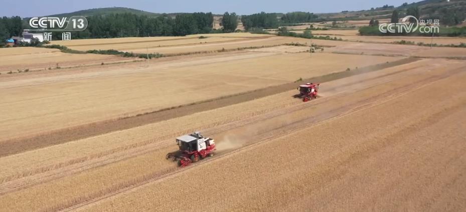 
浙江省肿瘤医院黄牛代挂号电话票贩子号贩子网上预约挂号,住院检查加快,河南各地加强服务保障 确保收割机顺利跨区作业