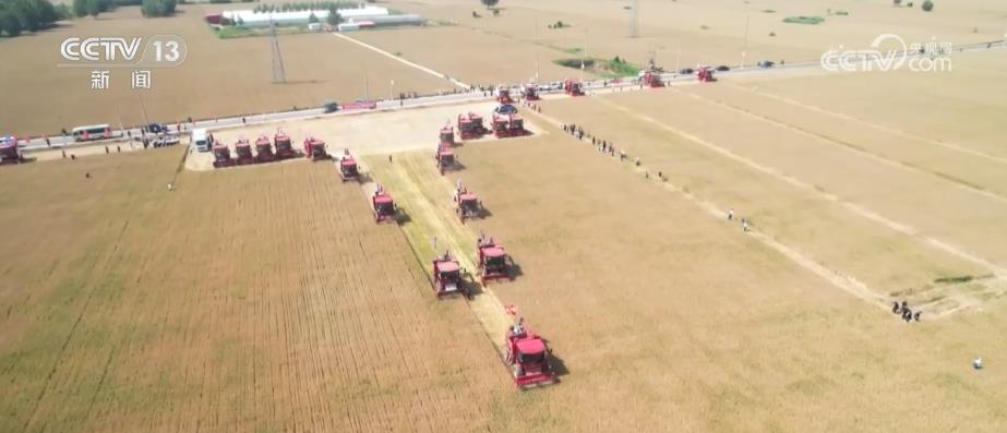 
上海肿瘤医院黄牛代挂号电话票贩子号贩子网上预约挂号,住院检查加快,河北为小麦晾晒做足充分准备 确保颗粒归仓