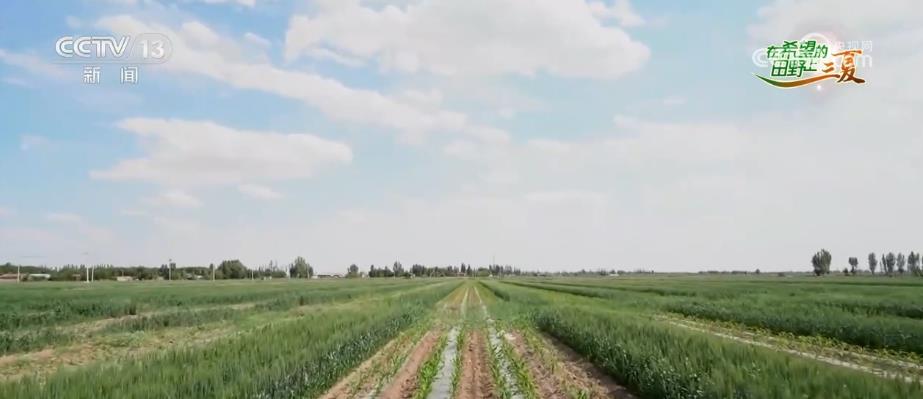 
南京市中医院黄牛代挂号电话票贩子号贩子网上预约挂号,住院检查加快,内蒙古粮食作物播种超亿亩 用节水农业打造“塞上粮仓”