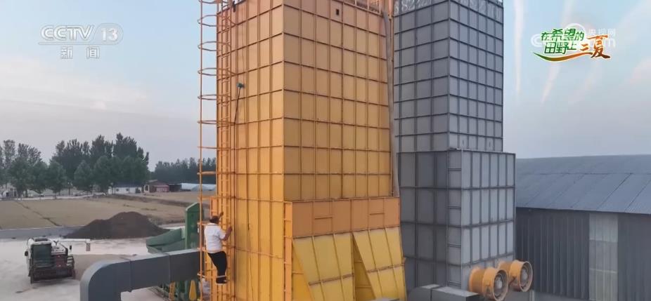 
上海肿瘤医院黄牛代挂号电话票贩子号贩子网上预约挂号,住院检查加快,河北为小麦晾晒做足充分准备 确保颗粒归仓