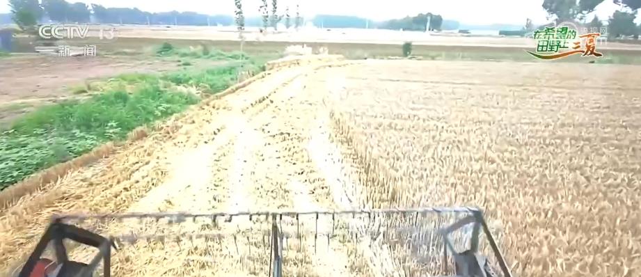 
浙江省肿瘤医院黄牛代挂号电话票贩子号贩子网上预约挂号,住院检查加快,河南各地加强服务保障 确保收割机顺利跨区作业