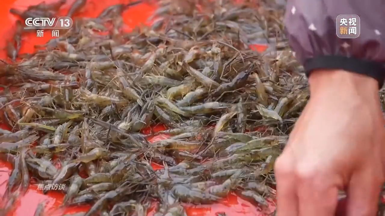 天津肿瘤医院黄牛代挂号电话票贩子号贩子网上预约挂号,住院检查加快,新朋友落户“浙”里 背后有怎样的故事?