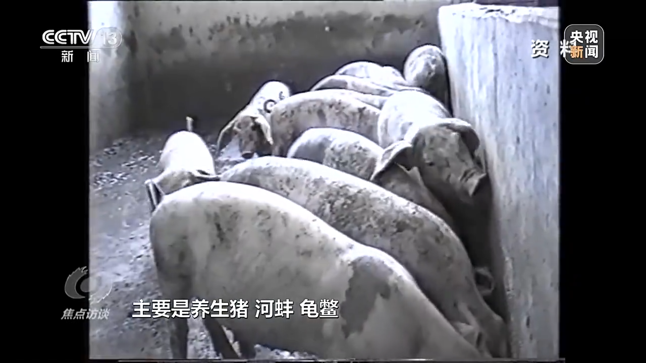 天津肿瘤医院黄牛代挂号电话票贩子号贩子网上预约挂号,住院检查加快,新朋友落户“浙”里 背后有怎样的故事?