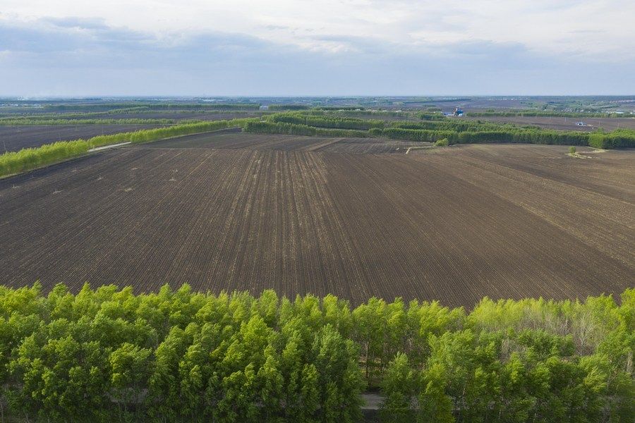 
杭州市一医院黄牛代挂号电话票贩子号贩子网上预约挂号,住院检查加快,求解农田变良田的生态答卷——中国生态文明实践观察