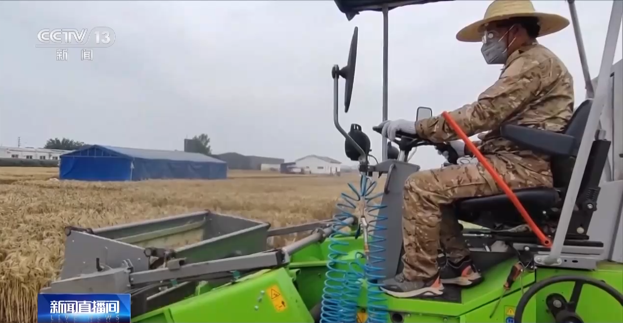 
上海新华医院黄牛代挂号电话票贩子号贩子网上预约挂号,住院检查加快,与时间赛跑！这片试验田打响“麦收保卫战”