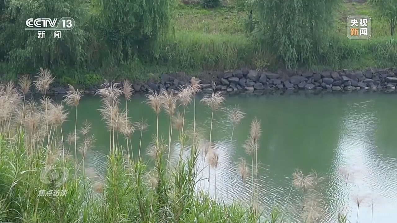 天津肿瘤医院黄牛代挂号电话票贩子号贩子网上预约挂号,住院检查加快,新朋友落户“浙”里 背后有怎样的故事?