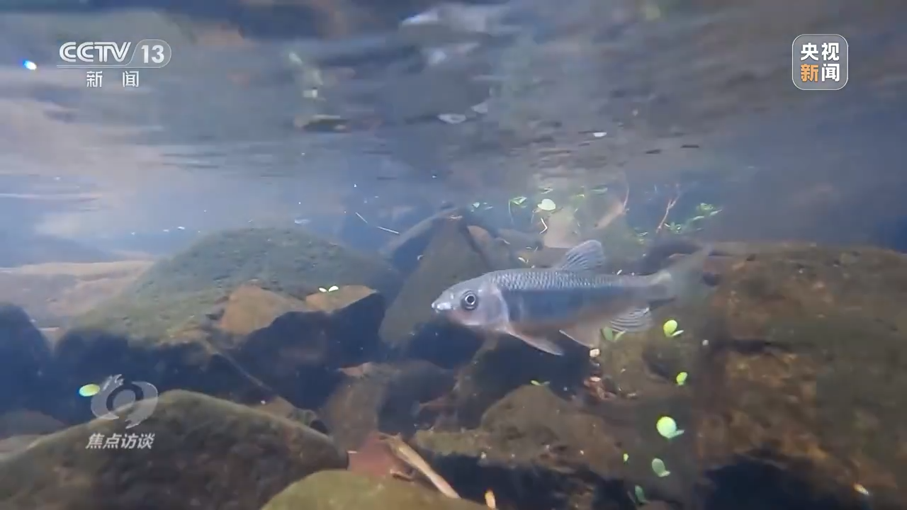 天津肿瘤医院黄牛代挂号电话票贩子号贩子网上预约挂号,住院检查加快,新朋友落户“浙”里 背后有怎样的故事?