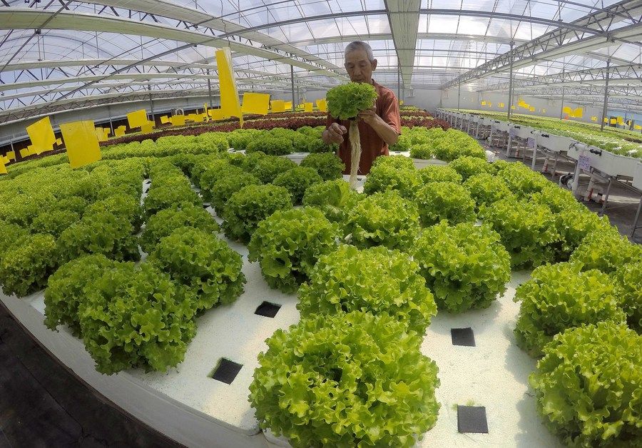 
杭州市一医院黄牛代挂号电话票贩子号贩子网上预约挂号,住院检查加快,求解农田变良田的生态答卷——中国生态文明实践观察