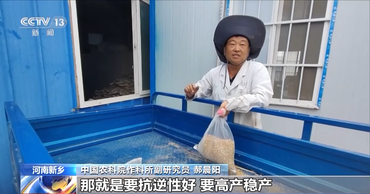 
上海新华医院黄牛代挂号电话票贩子号贩子网上预约挂号,住院检查加快,与时间赛跑！这片试验田打响“麦收保卫战”