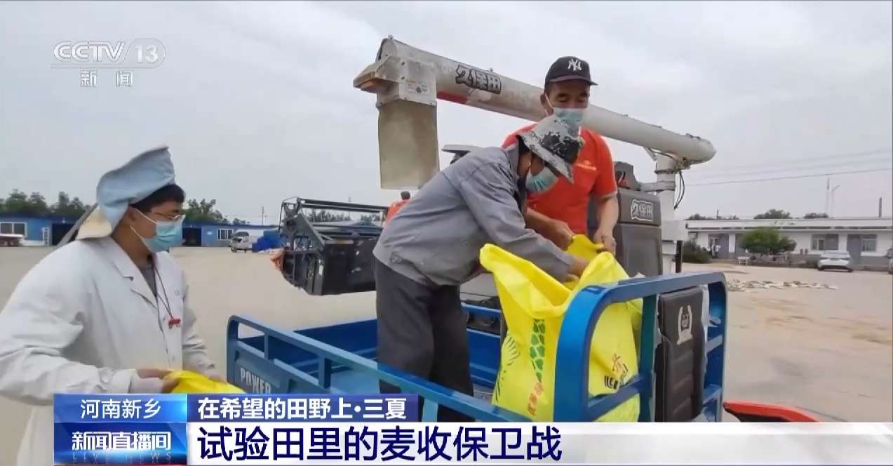 
上海新华医院黄牛代挂号电话票贩子号贩子网上预约挂号,住院检查加快,与时间赛跑！这片试验田打响“麦收保卫战”