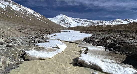 
广州中医药大学一附医院黄牛代挂号电话票贩子号贩子网上预约挂号,住院检查加快,“她力量”绽放在科研征途上