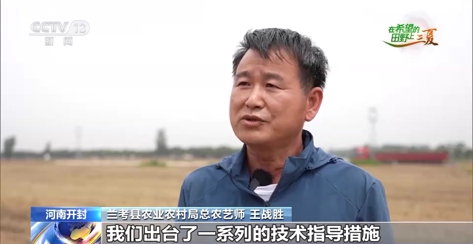 
广州市妇女儿童医疗中心黄牛代挂号电话票贩子号贩子网上预约挂号,住院检查加快,全国收获冬小麦面积超1.8亿亩 收播方式“新上加新”！