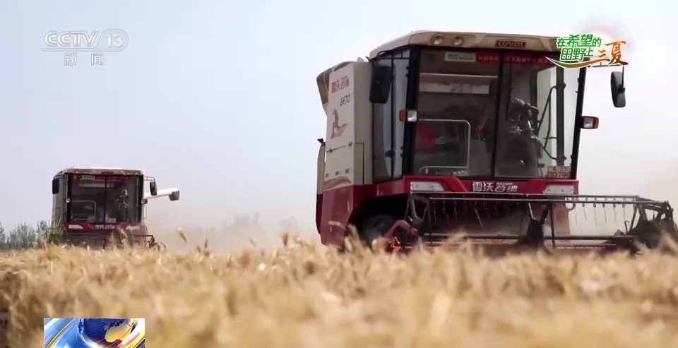 
北京安定医院黄牛代挂号电话票贩子号贩子网上预约挂号,住院检查加快,全国收获冬小麦面积超1.8亿亩 收播方式“新上加新”！